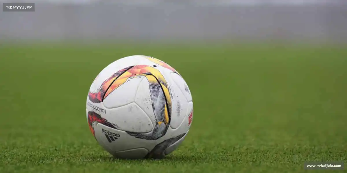 百家乐规则——🏉英式橄榄球！团队协作，突破自我边界🏅