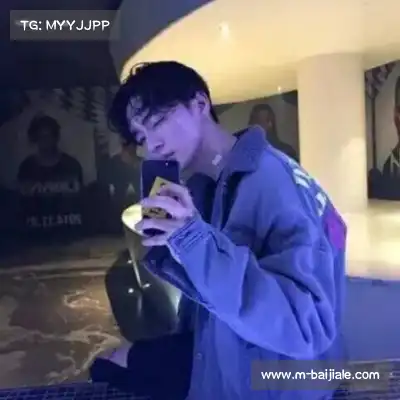梅鹃仪